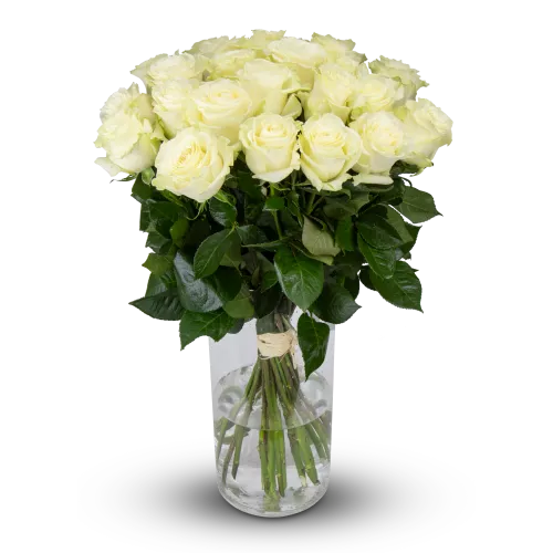 Kytice ekvádorských růží 80 cm